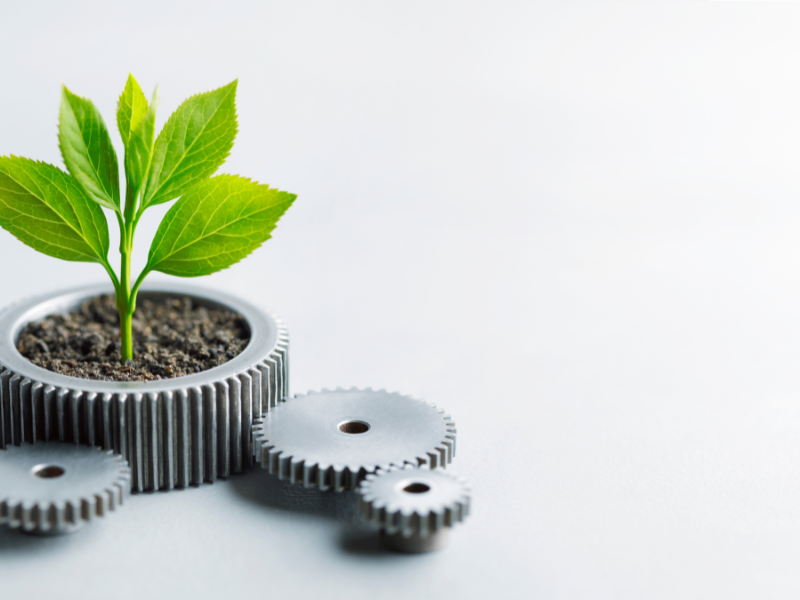 Sustainable Manufacturing