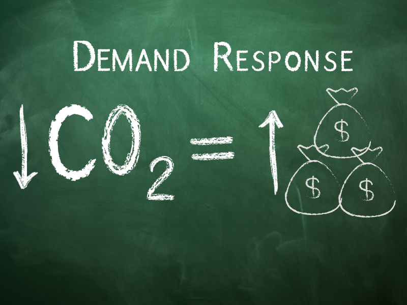 Demand Response Sustainability